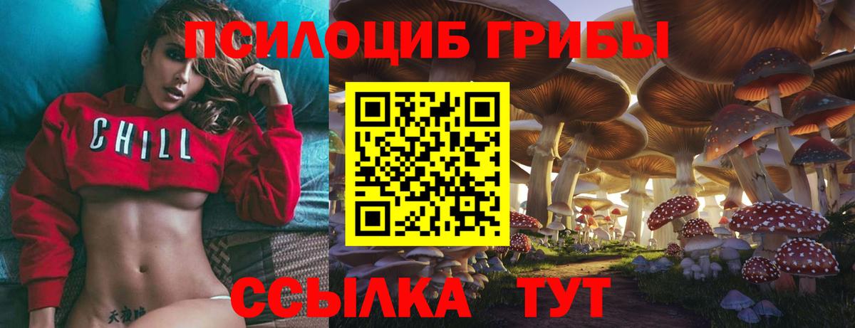 Галлюциногенные грибы GOLDEN TEACHER  купить наркотики сайты  Вход с VPN  Йошкар-Ола  Галлюциногенные грибы Psilocybe 